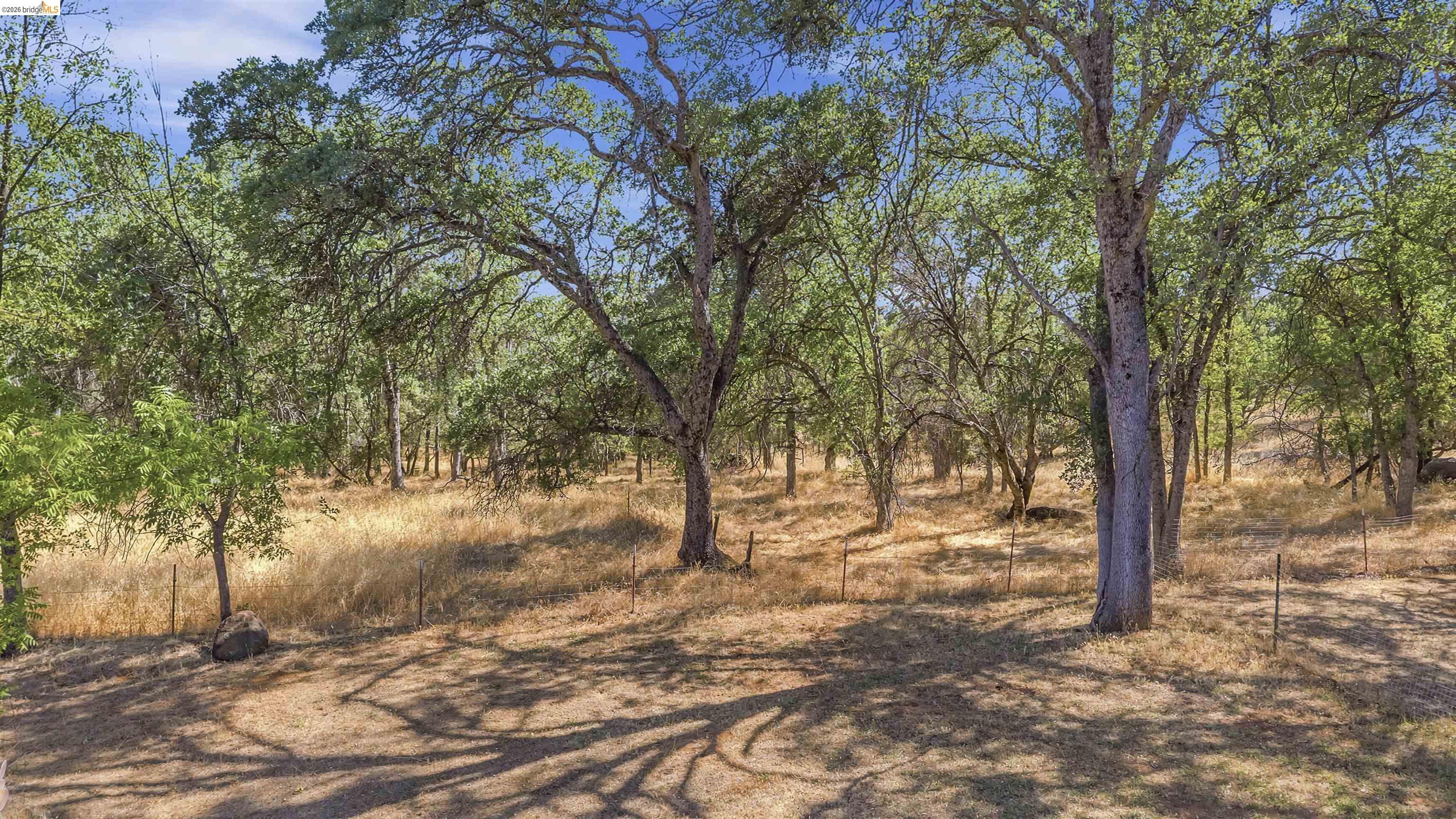 14295 Tinnin Court, Sonora CA 95370 — photo 50