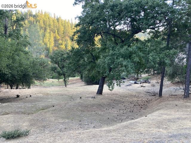4-152 Nonpareil, Groveland CA 95321 — photo 5