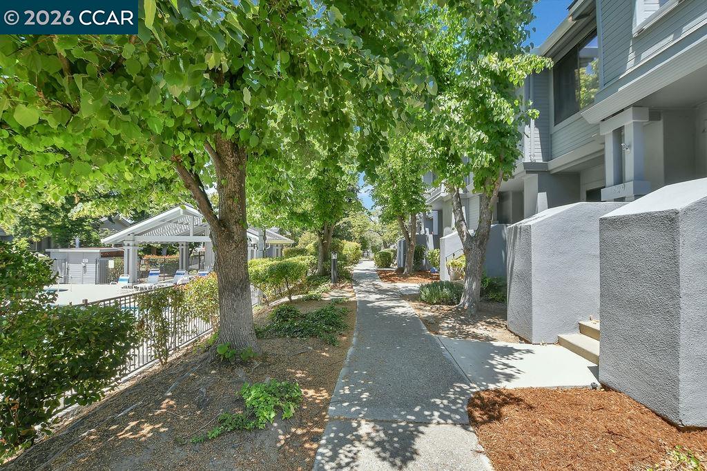 1623 Geary Rd, Walnut Creek CA 94597 — photo 25