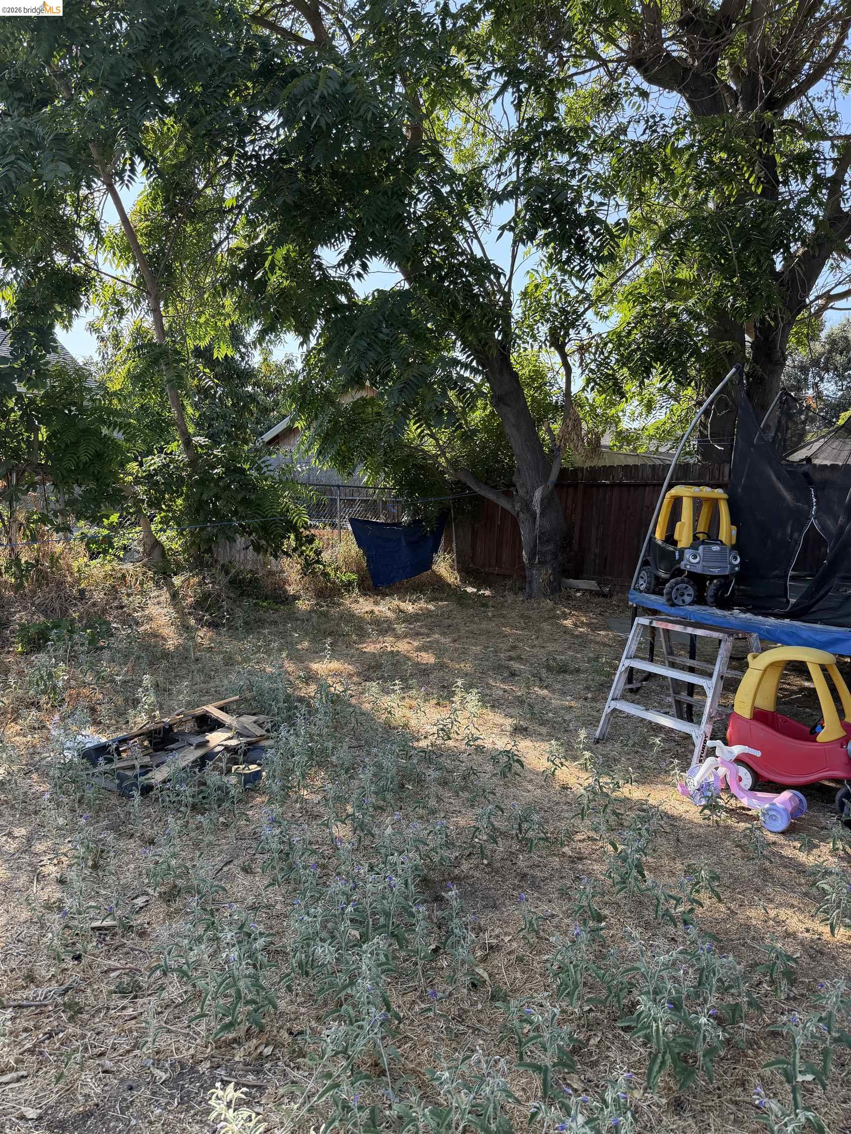 1441 Sierra Ln, Stockton CA 95205 — photo 4