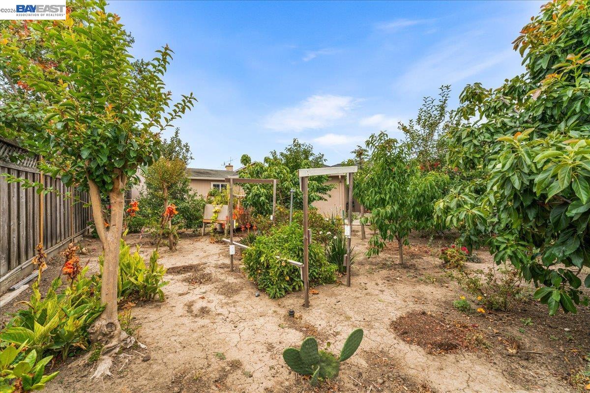 5354 Granville Ct, Fremont CA 94536 — photo 41
