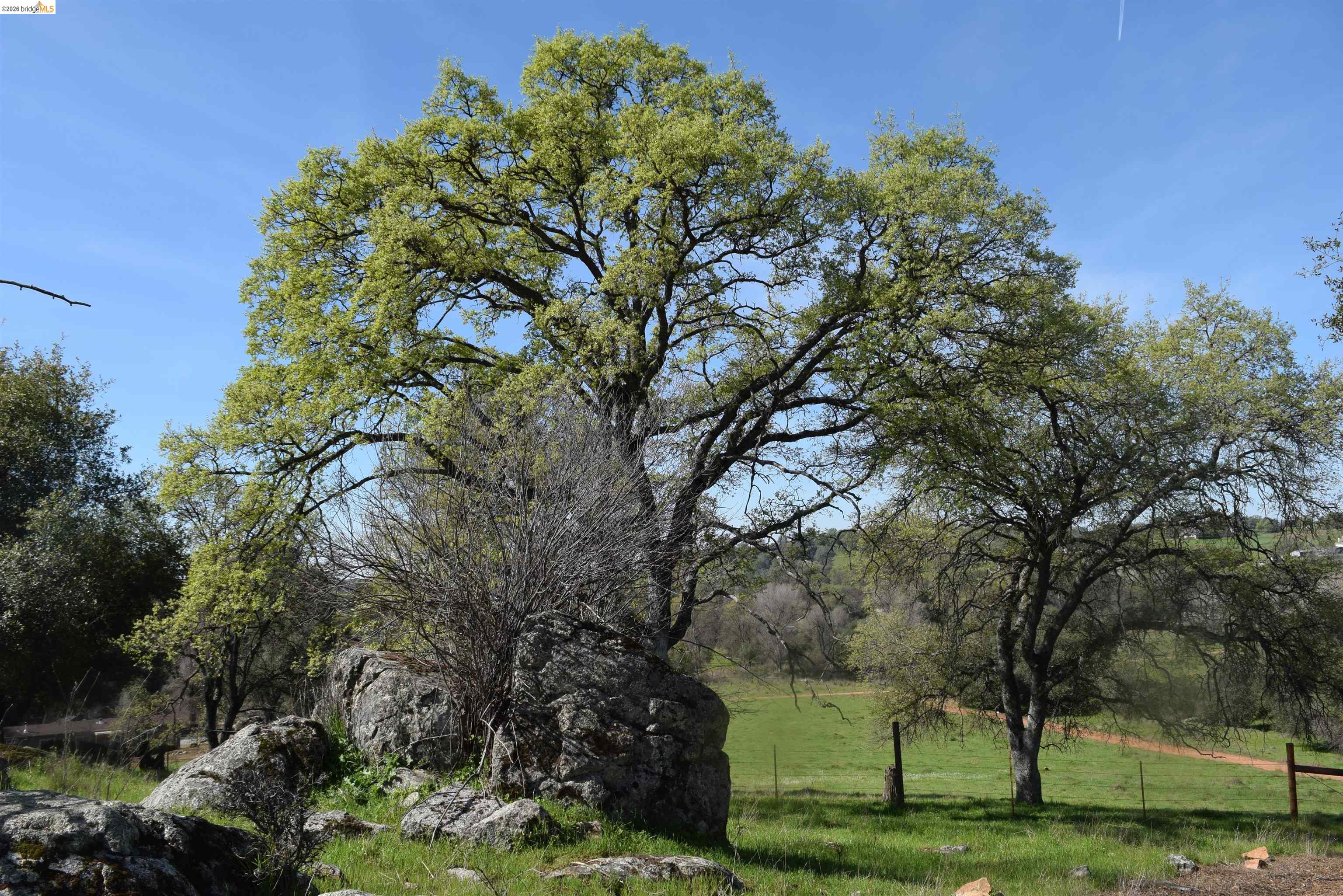 Lime Kiln Road, Sonora CA 95370 — photo 37