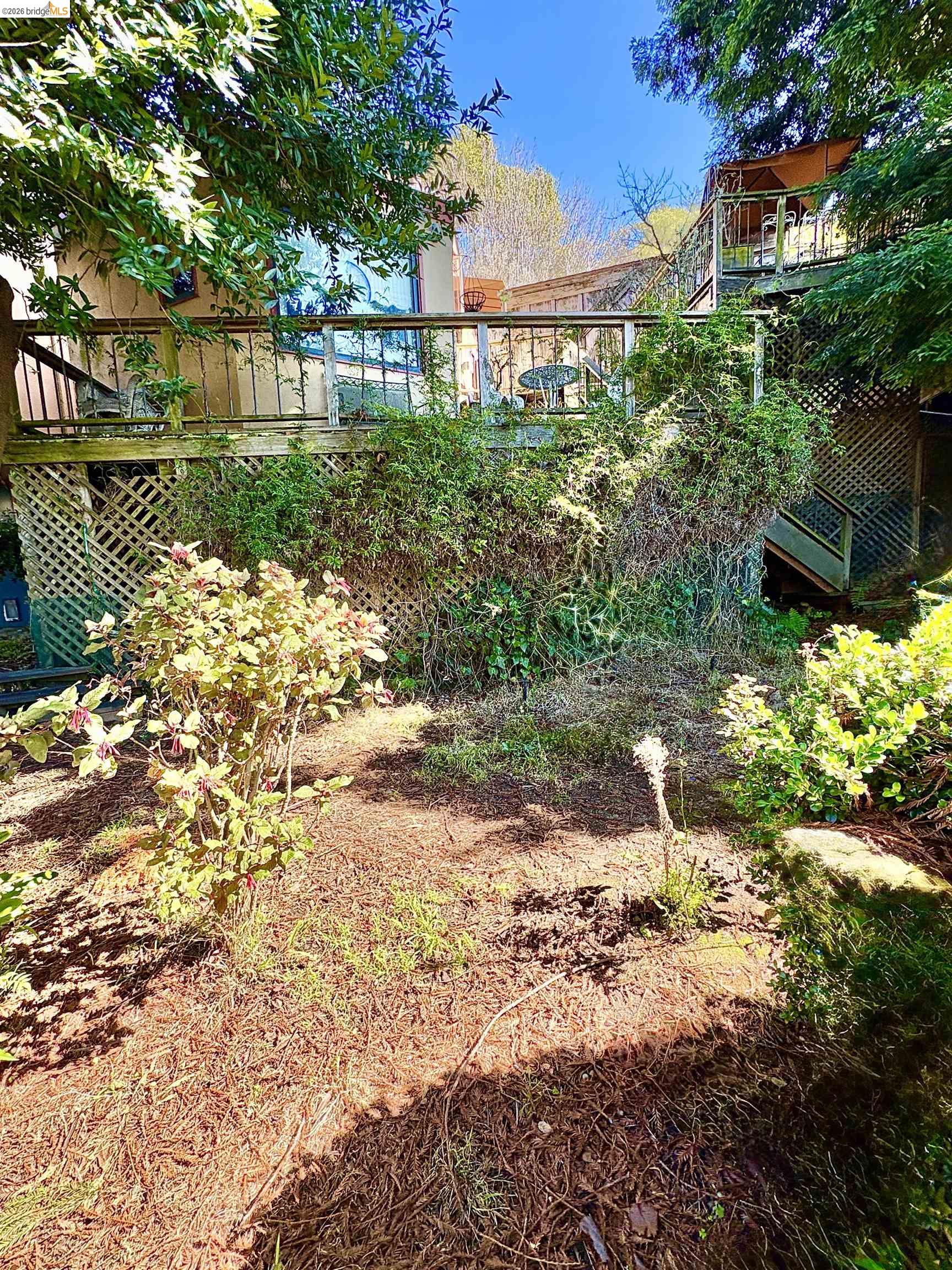 916 Cragmont Ave, Berkeley CA 94708 — photo 30