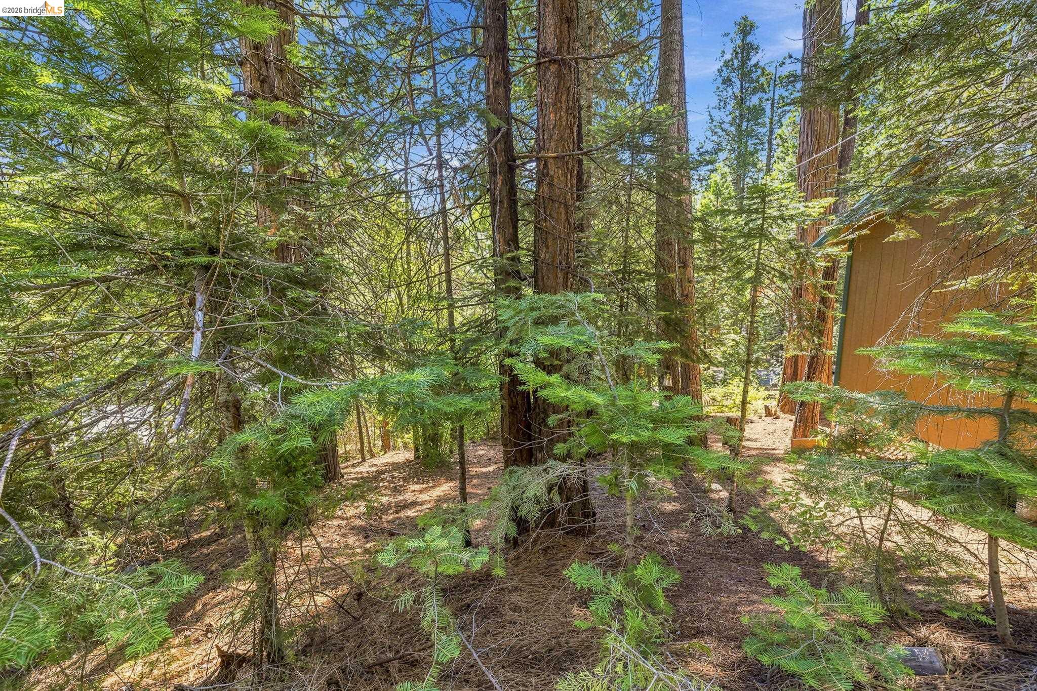 26457 Crystal Rd, Long Barn CA 95335 — photo 34