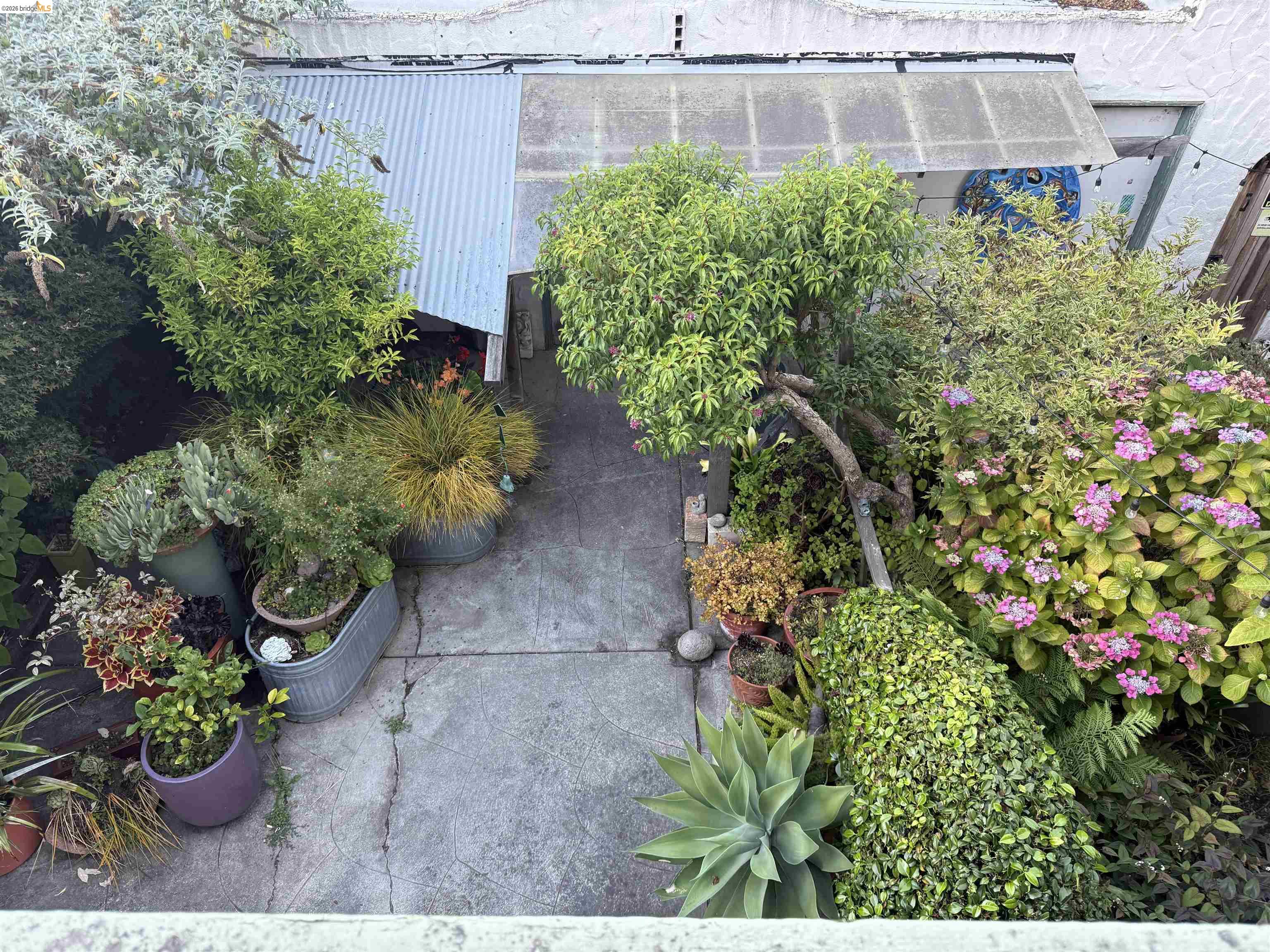 446 37Th St, Oakland CA 94609 — photo 29