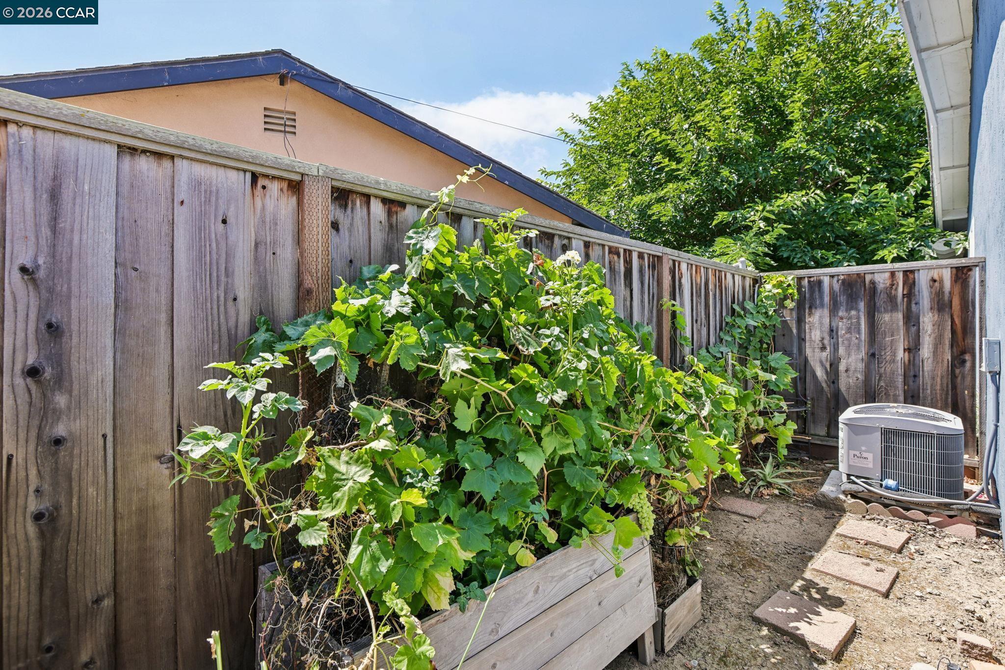 36436 Reina Pl, Newark CA 94560 — photo 30