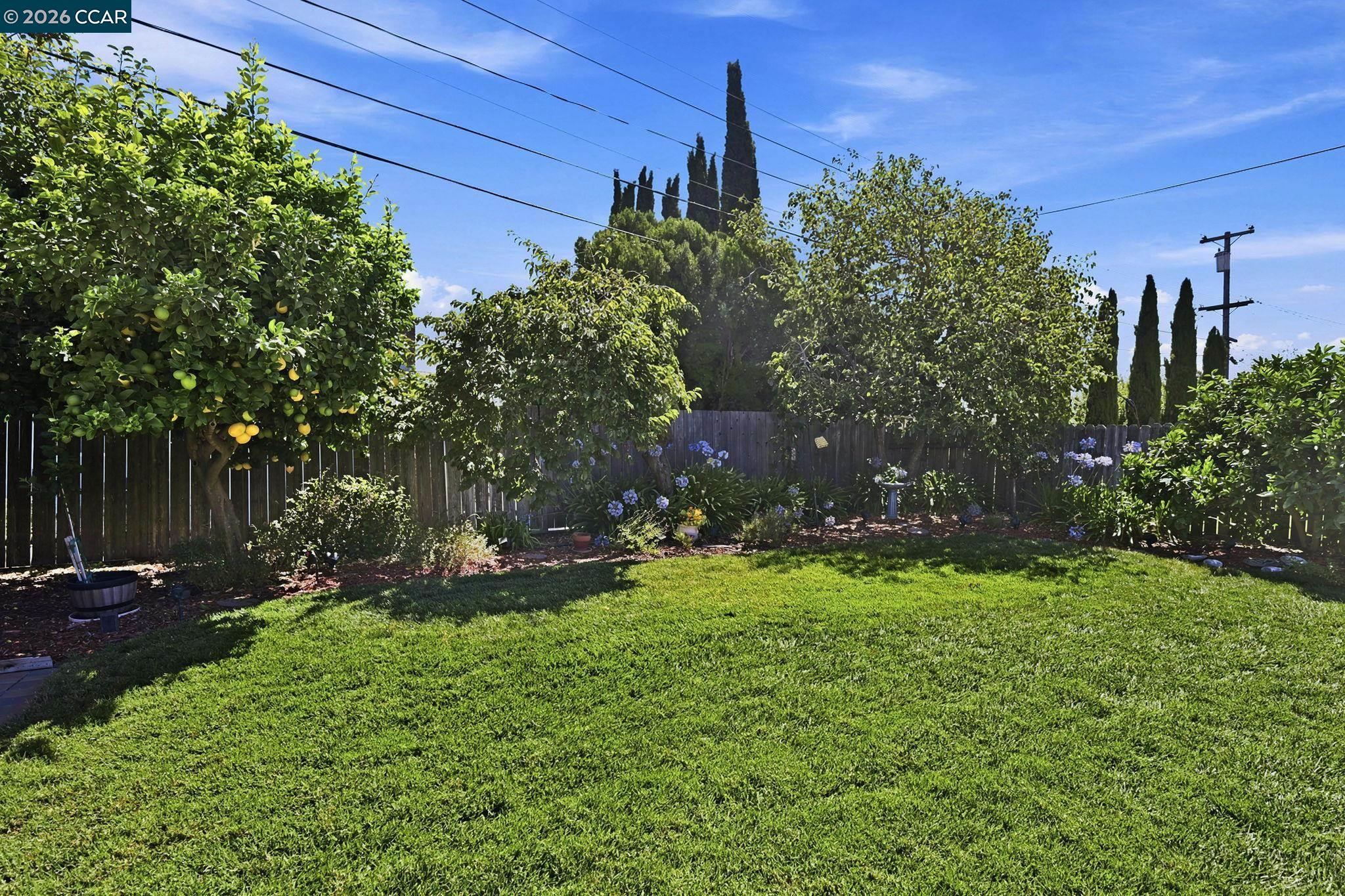 7811 Sunwood Dr, Dublin CA 94568 — photo 24