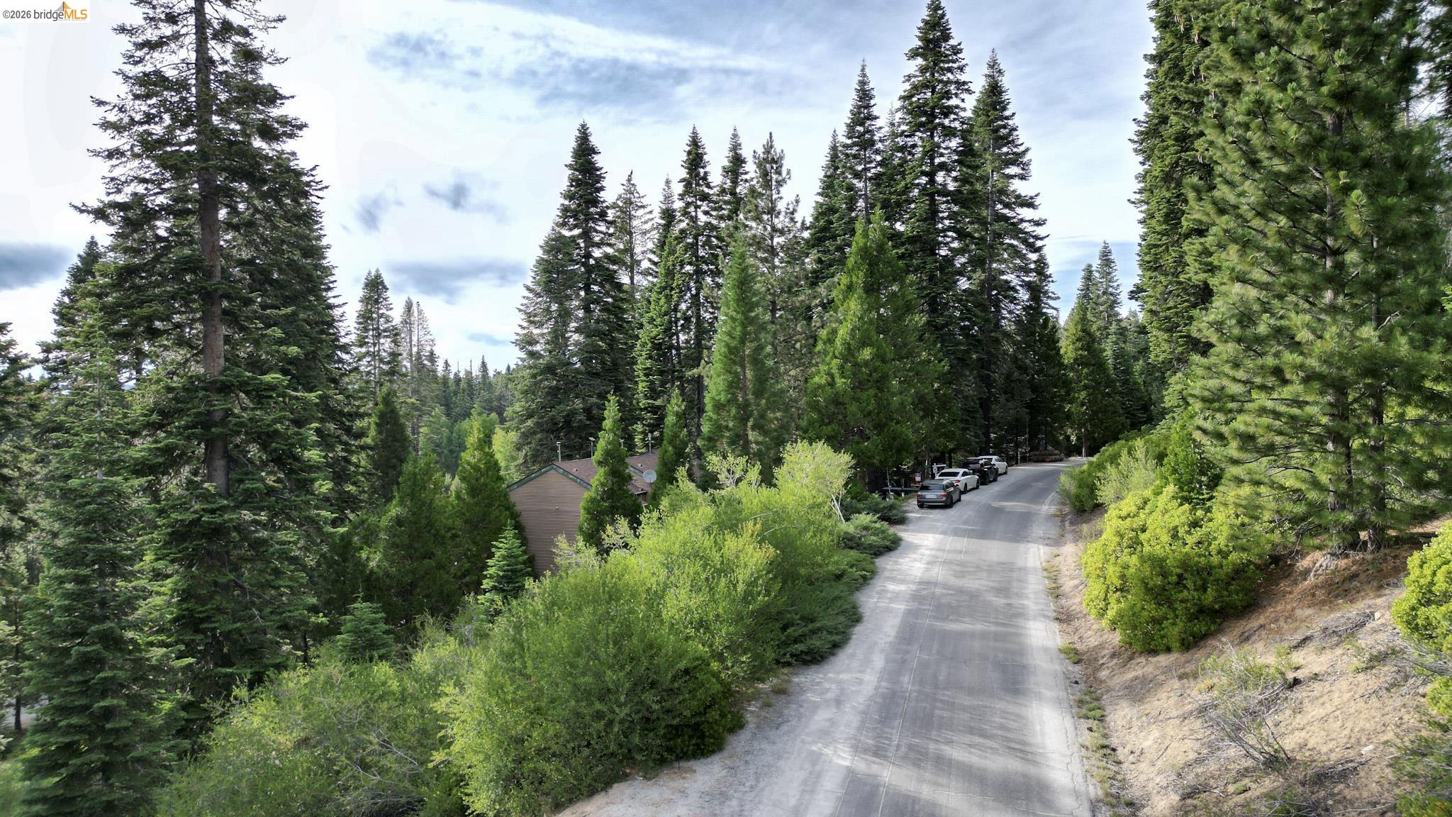 Pinecrest