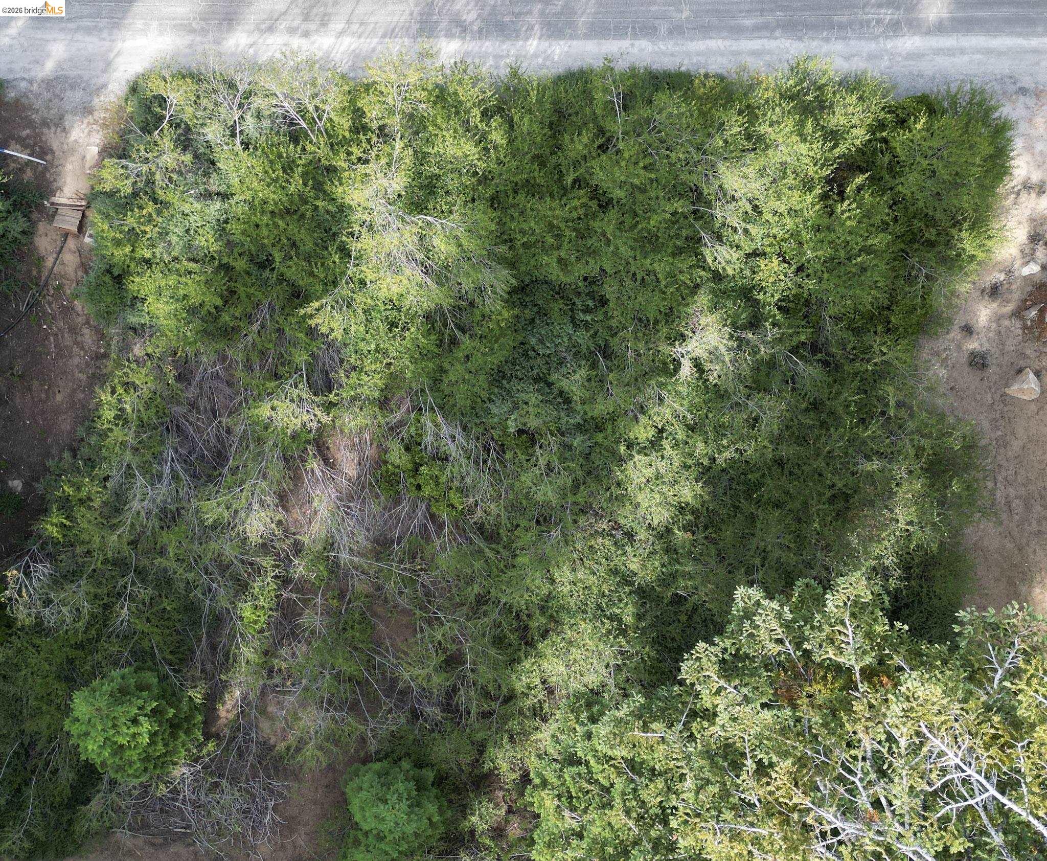 33826 Upper Leland Rd, Pinecrest CA 95364 — photo 5