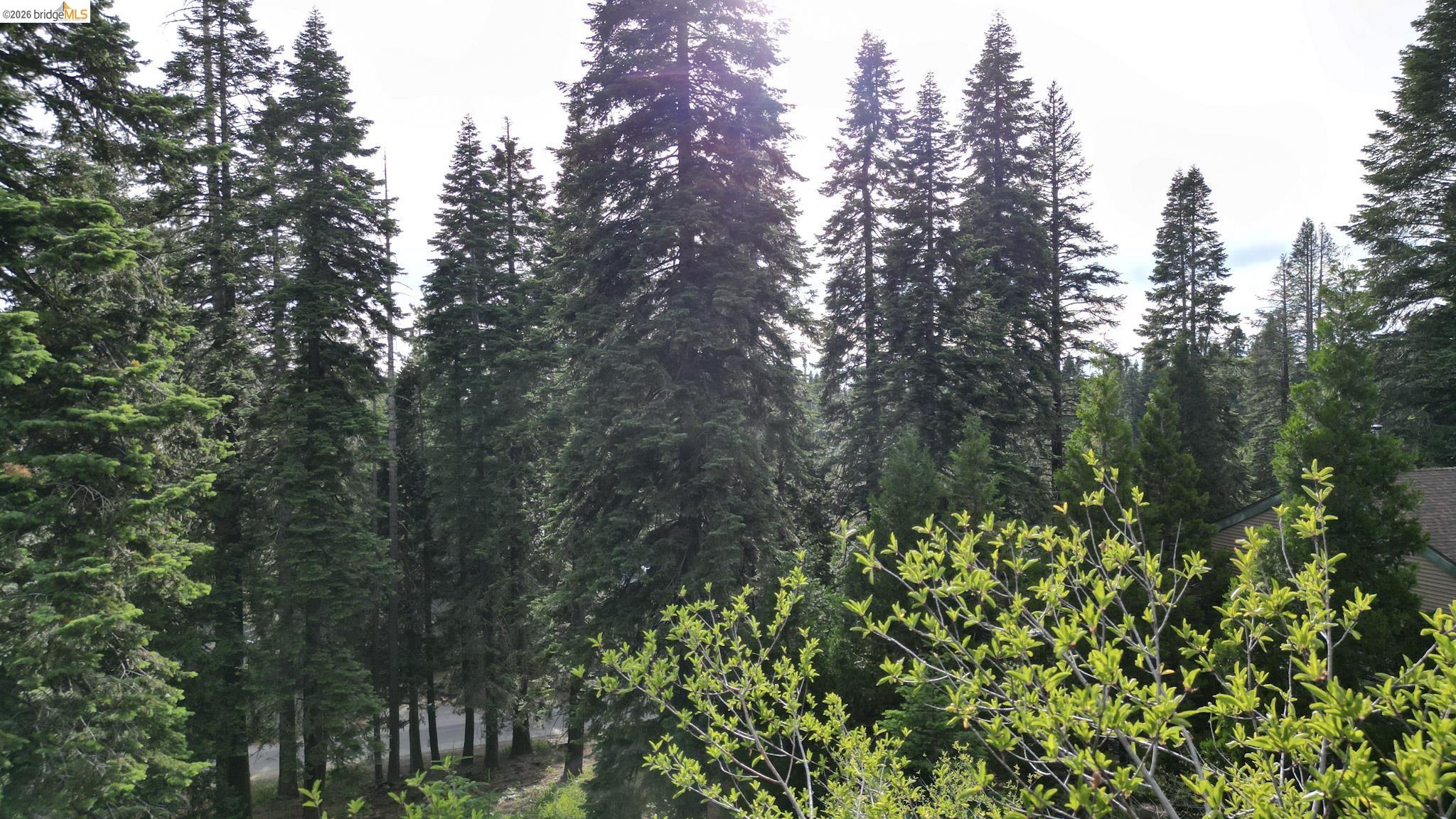 33826 Upper Leland Rd, Pinecrest CA 95364 — photo 9