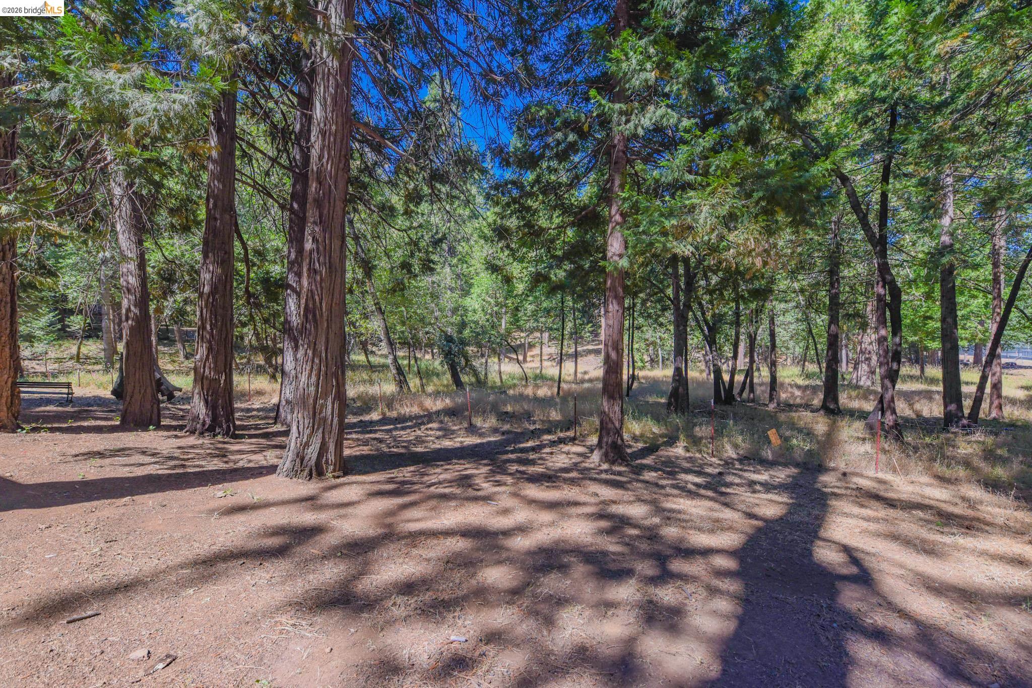 19342 Superior Dr, Twain Harte CA 95383 — photo 6