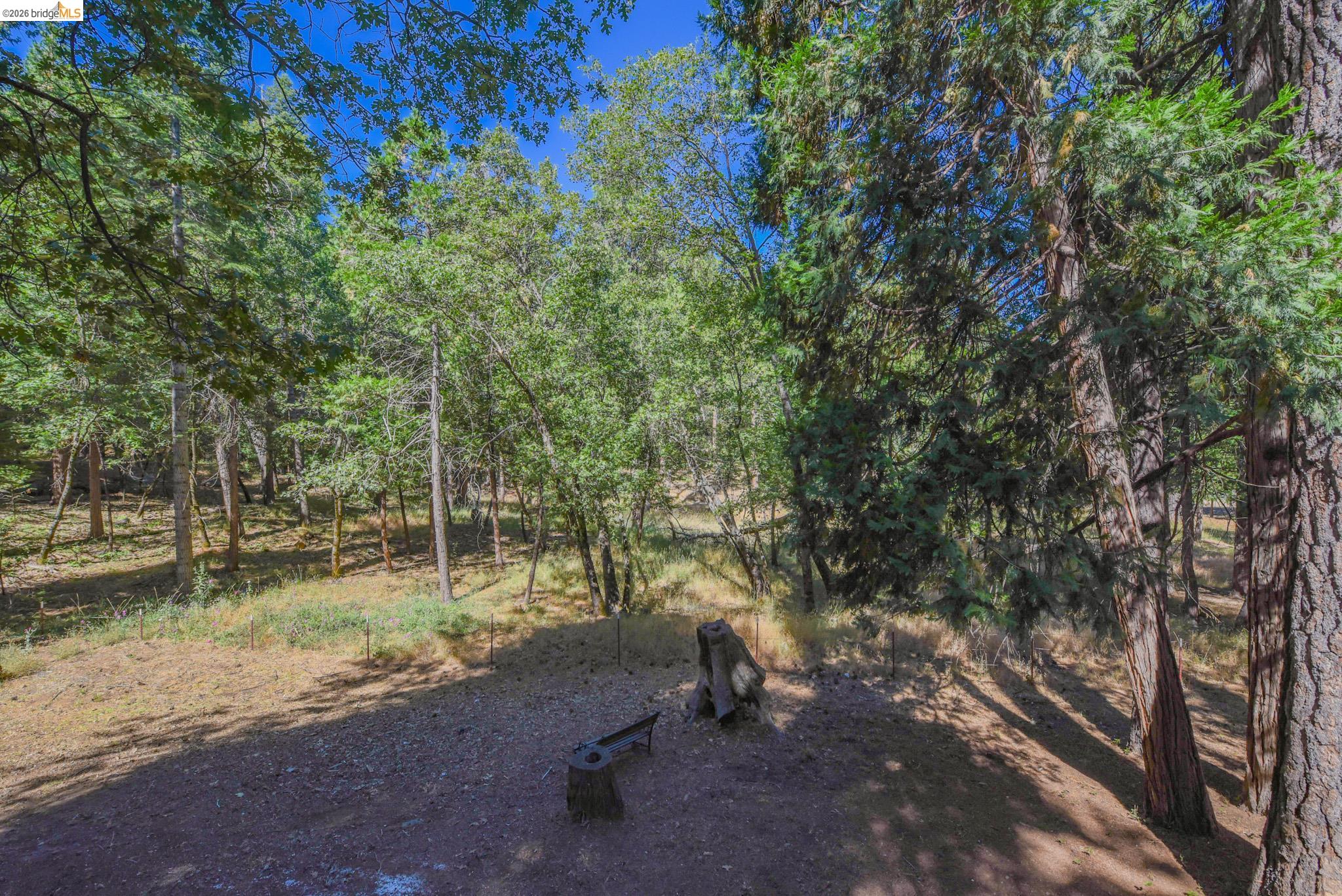 19342 Superior Dr, Twain Harte CA 95383 — photo 51