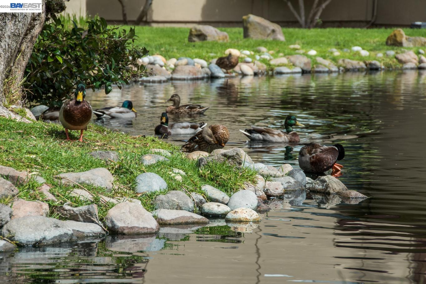 1333 WEBSTER STREET # A101, Alameda CA 94501 — photo 50