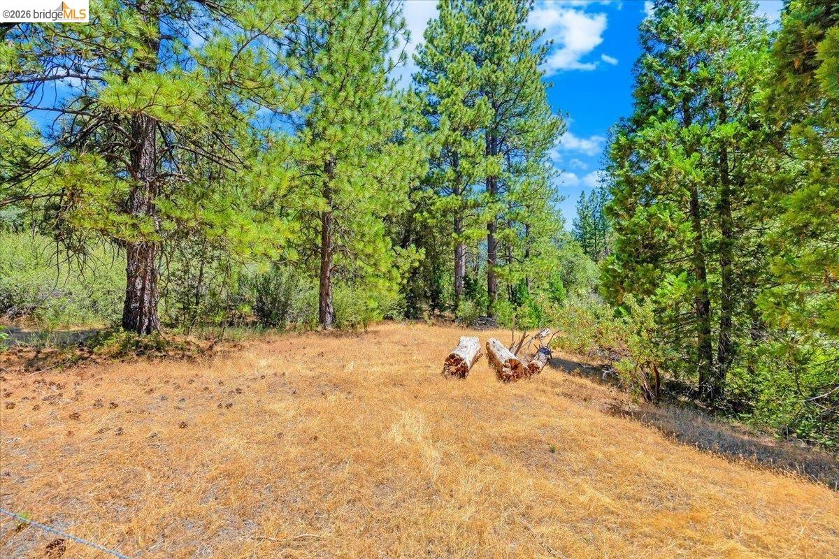 00 Italian Bar RD, Twain Harte CA 95383 — photo 28