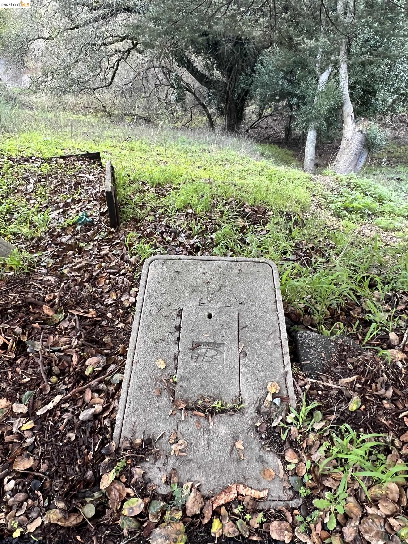 6595 Exeter, Oakland CA 94611 — photo 12