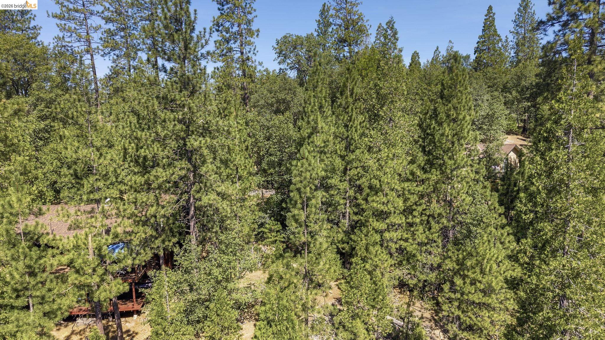 Lot598 Nile River, Sonora CA 95370 — photo 11
