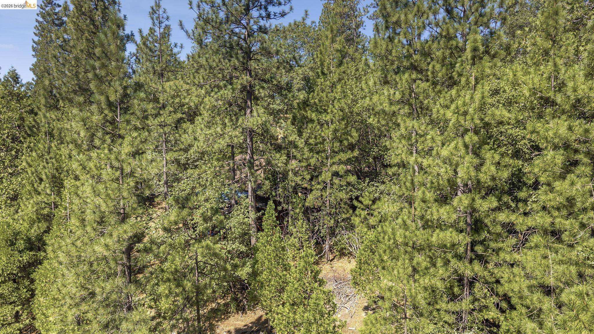 Lot598 Nile River, Sonora CA 95370 — photo 12