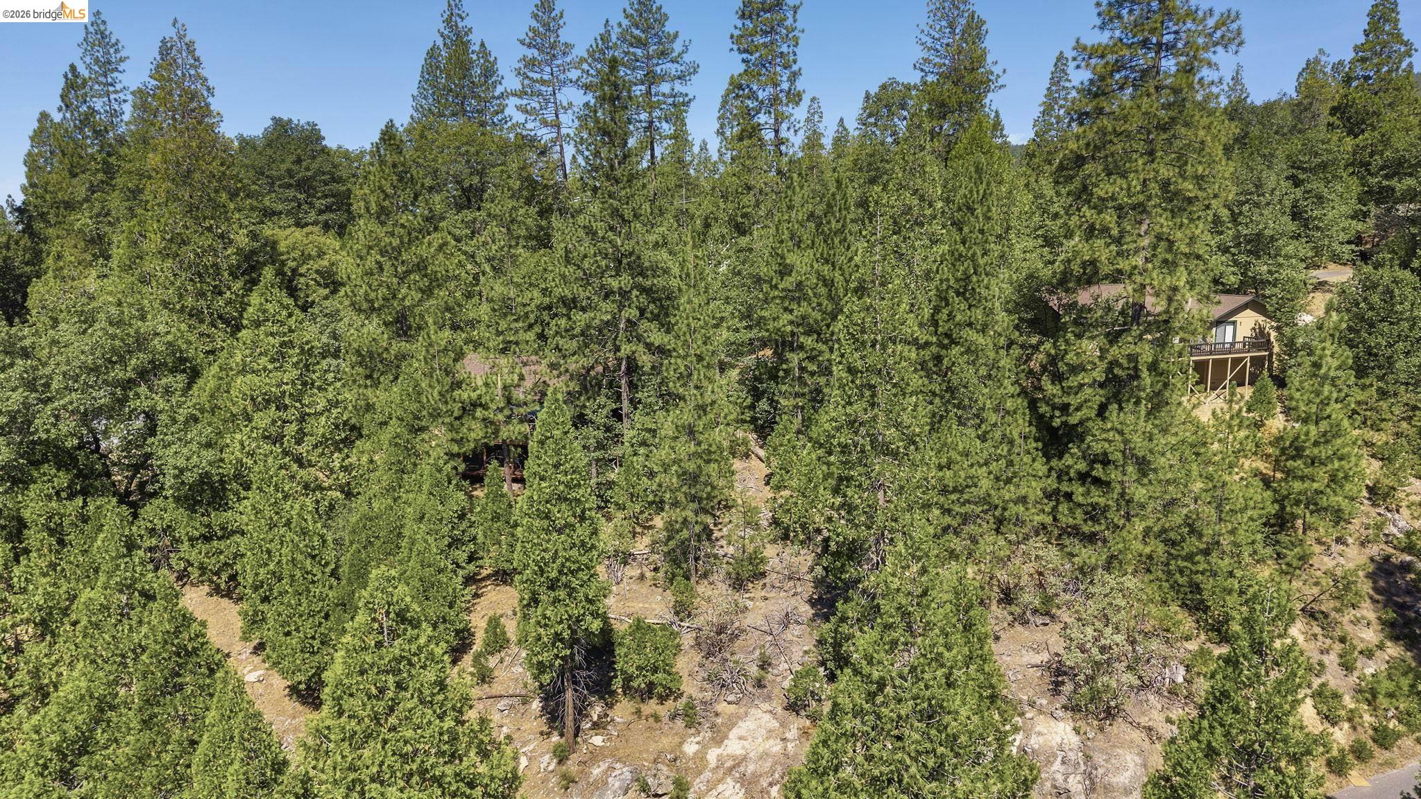 Lot598 Nile River, Sonora CA 95370 — photo 8