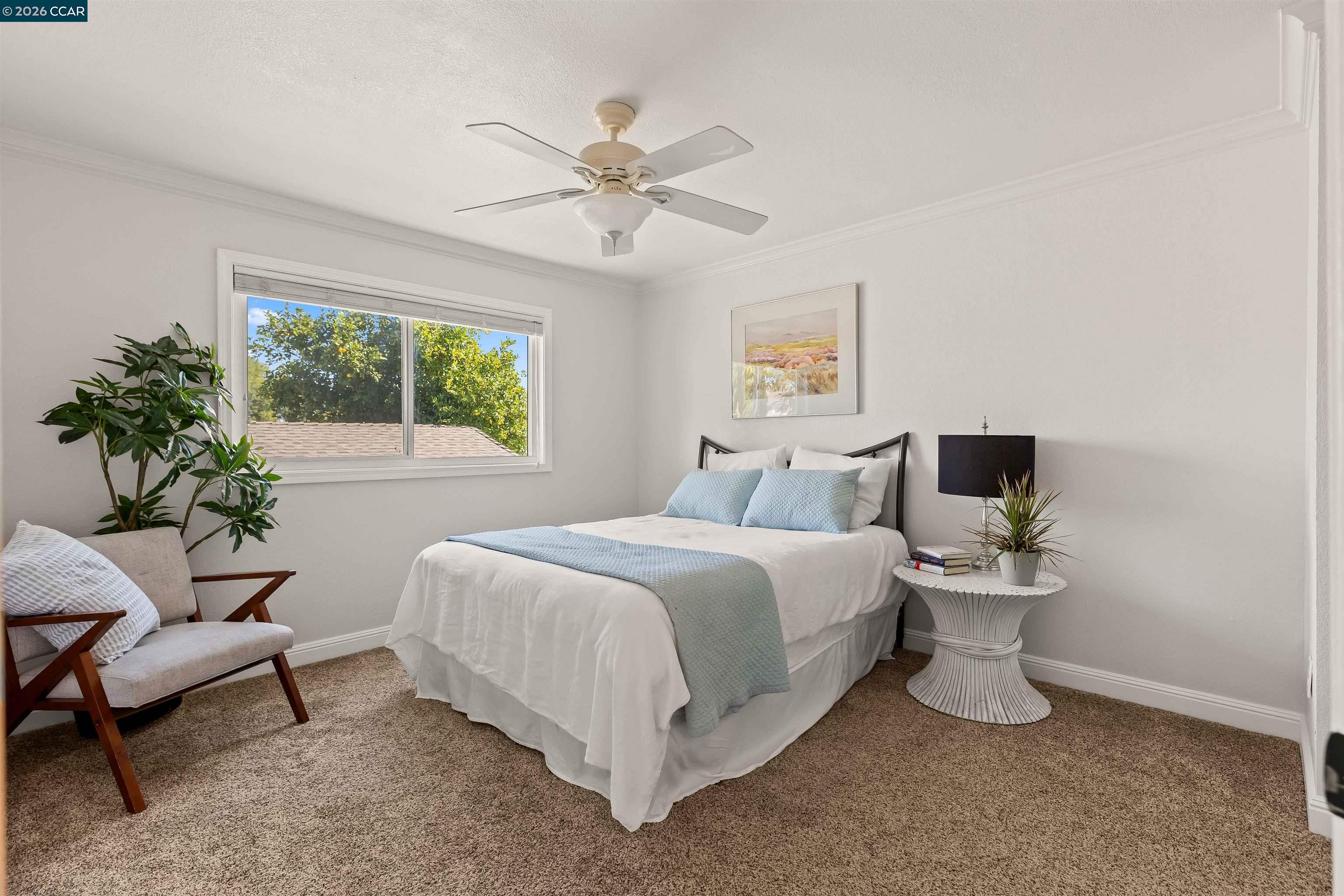 3129 Ash Street, Antioch CA 94509 — photo 24