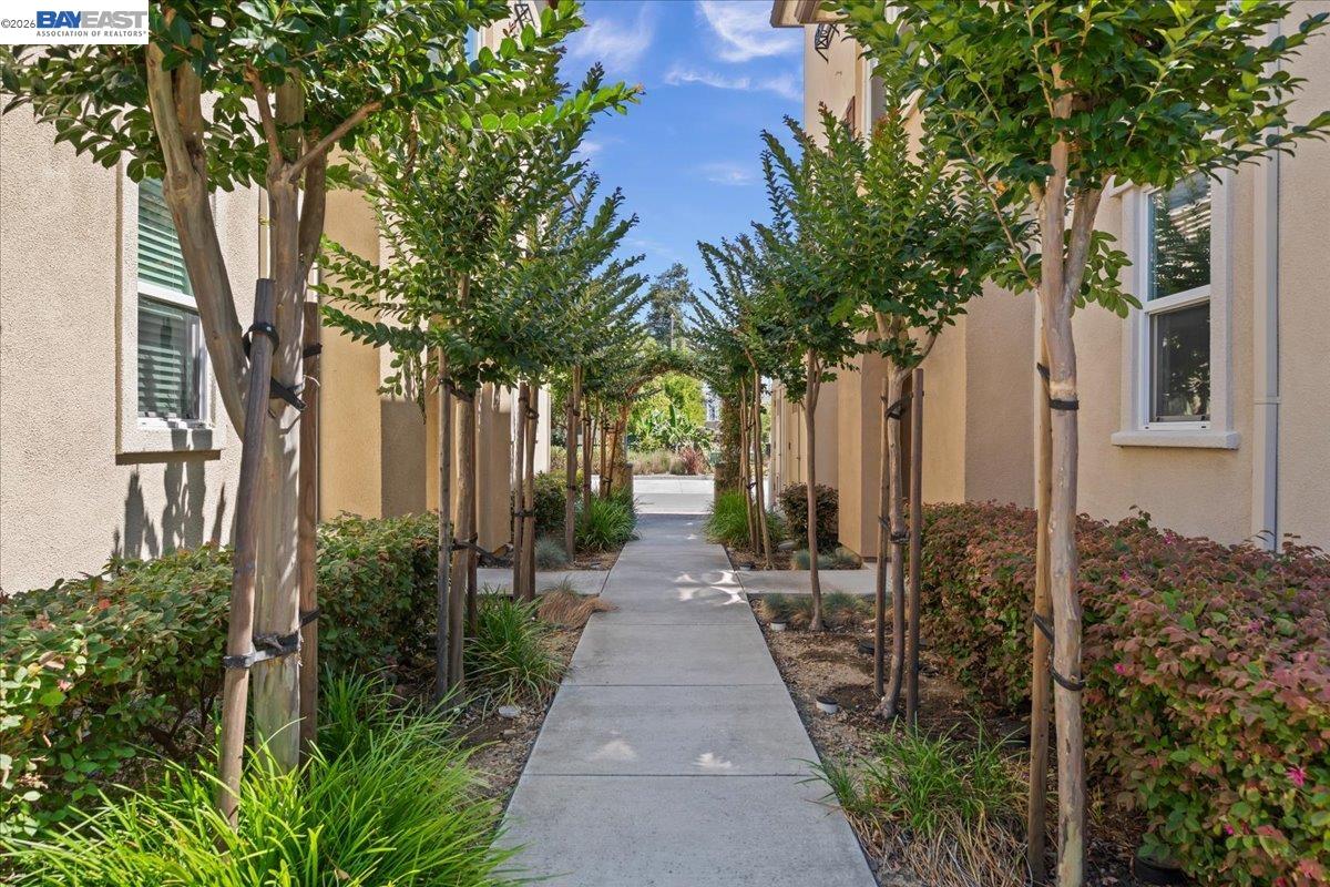 34623 Acquaviva Ter, Fremont CA 94555 — photo 29
