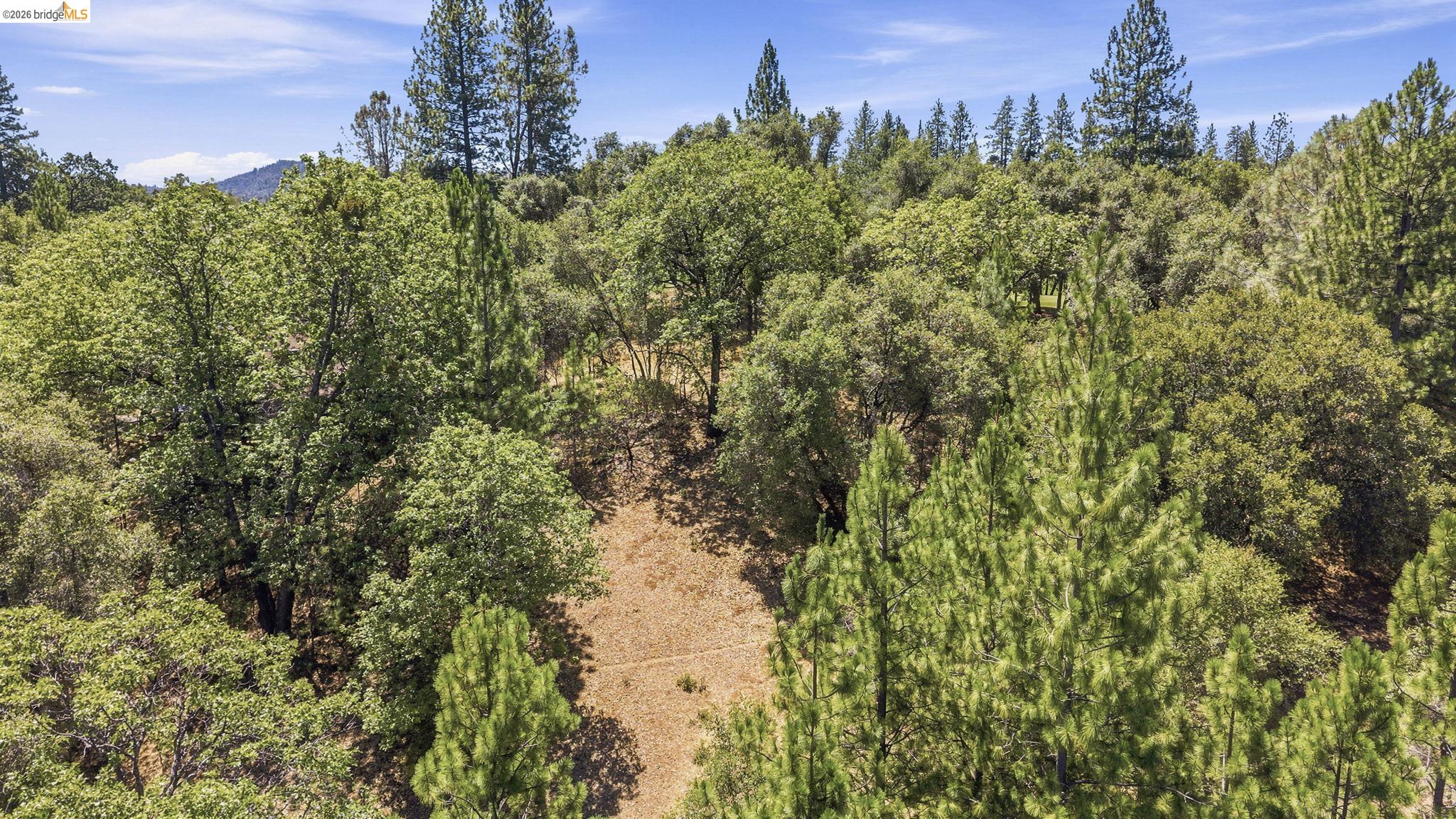12936 First Garrotte Circle, Groveland CA 95321 — photo 8
