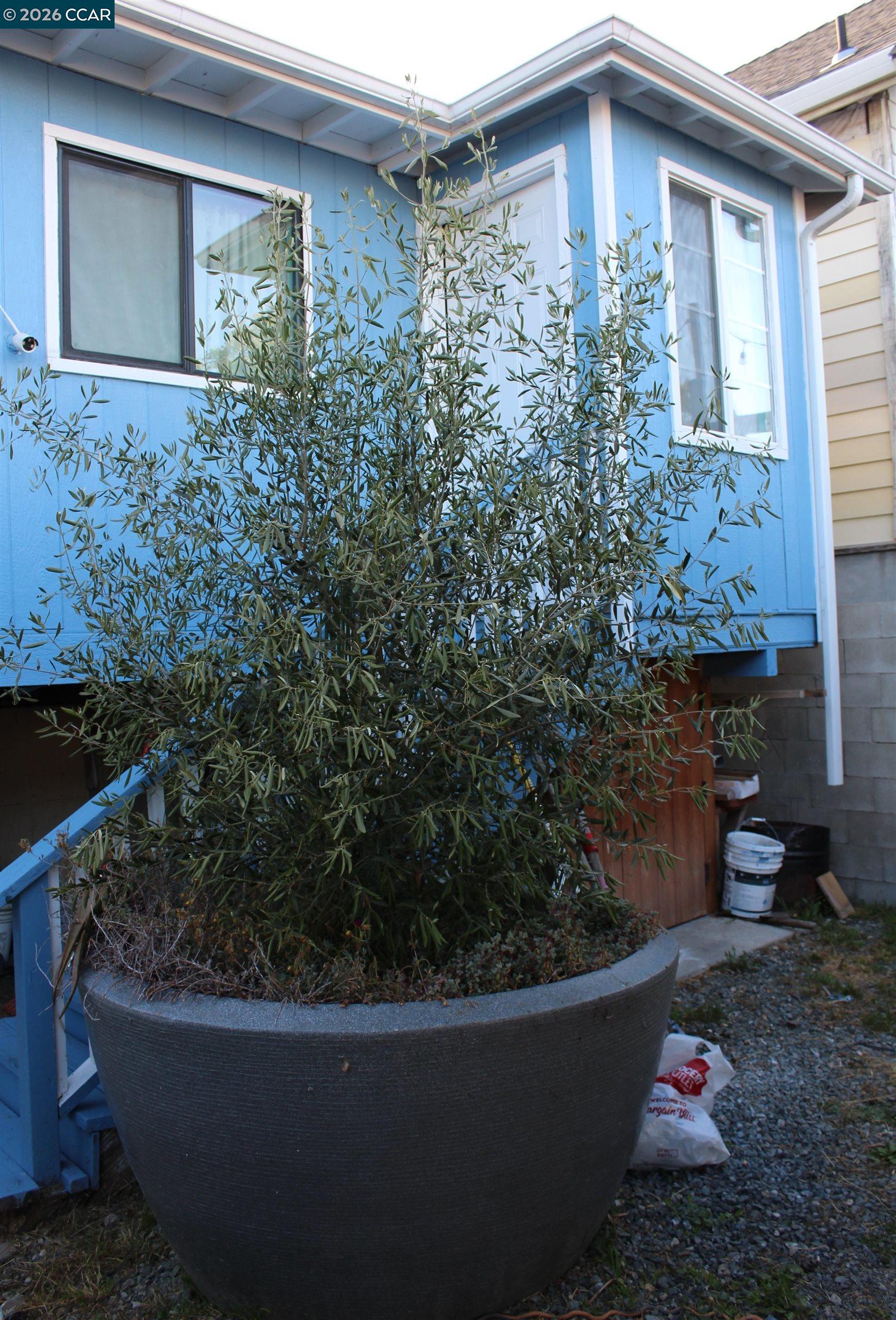 540 3rd ST, Richmond CA 94801 — photo 54