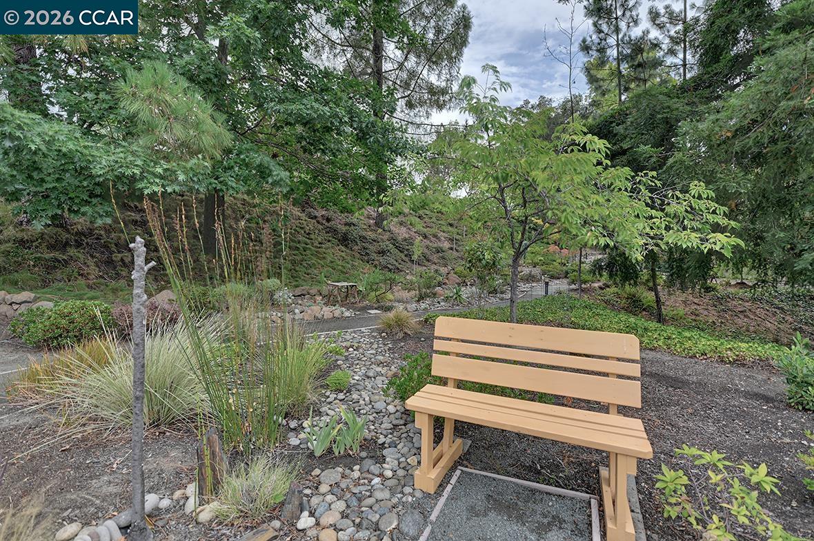 1309 Skycrest Dr # 5, Walnut Creek CA 94595 — photo 38