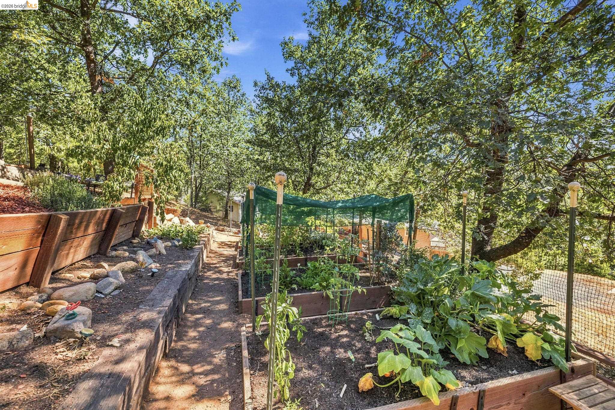 23985 Hitching Post Rd, Sonora CA 95370 — photo 34
