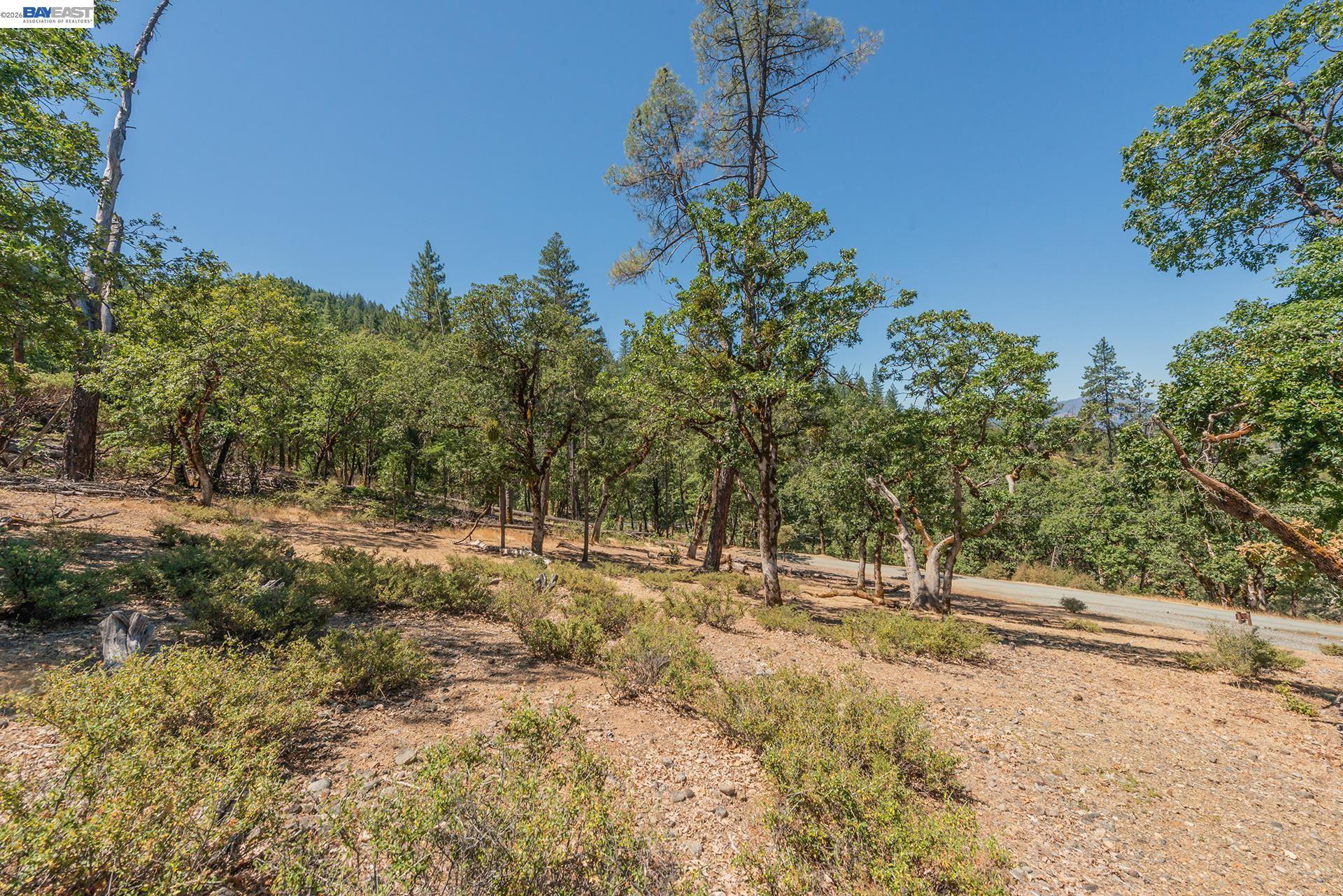 600 Top of The Grade, Douglas City CA 96024 — photo 41