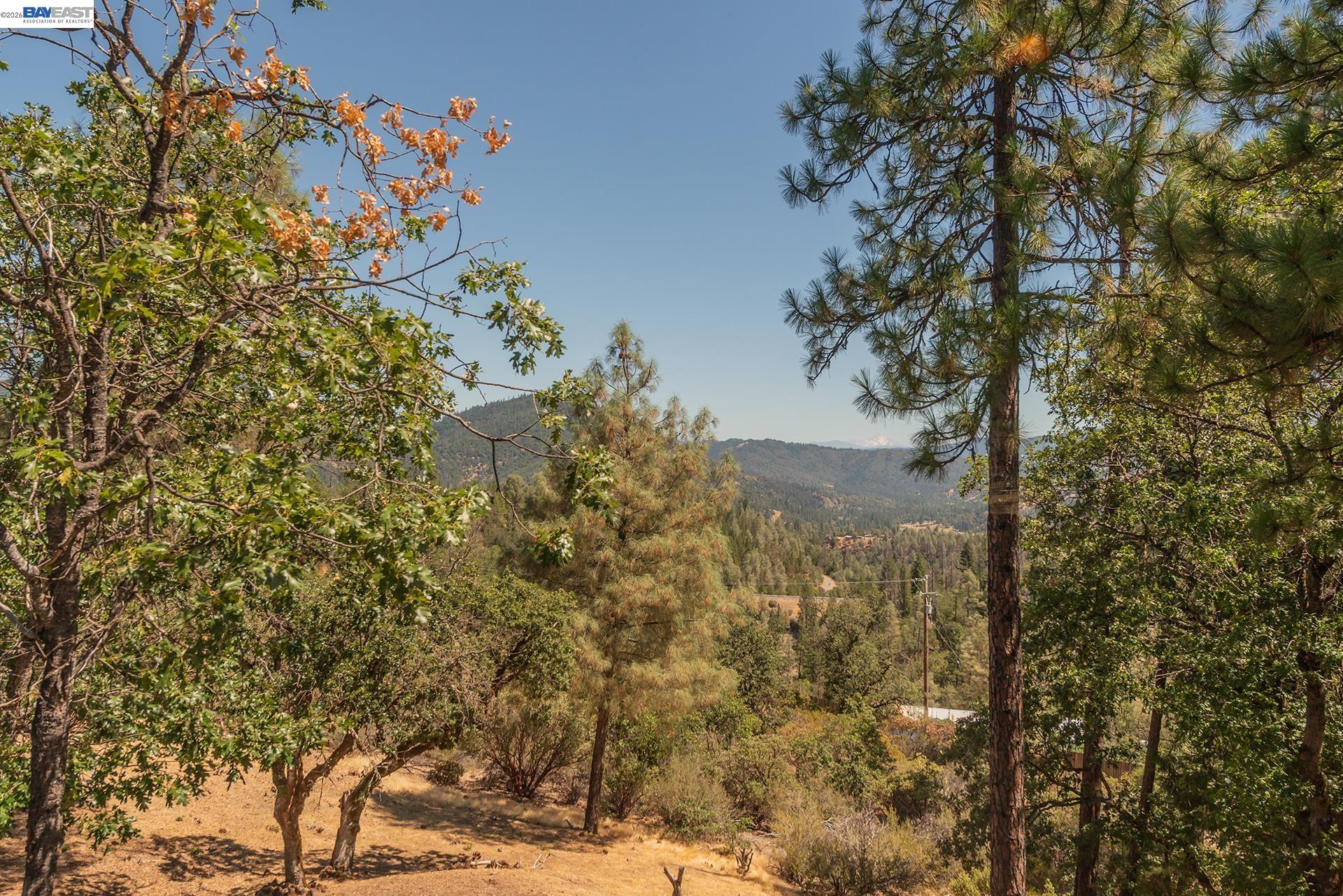 600 Top of The Grade, Douglas City CA 96024 — photo 75