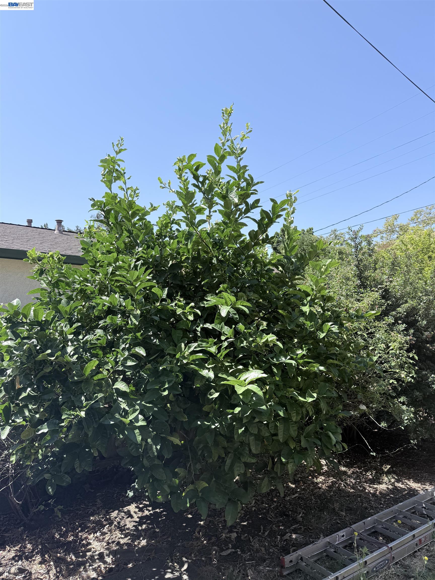 137 Viewmont Avenue, Vallejo CA 94590 — photo 56