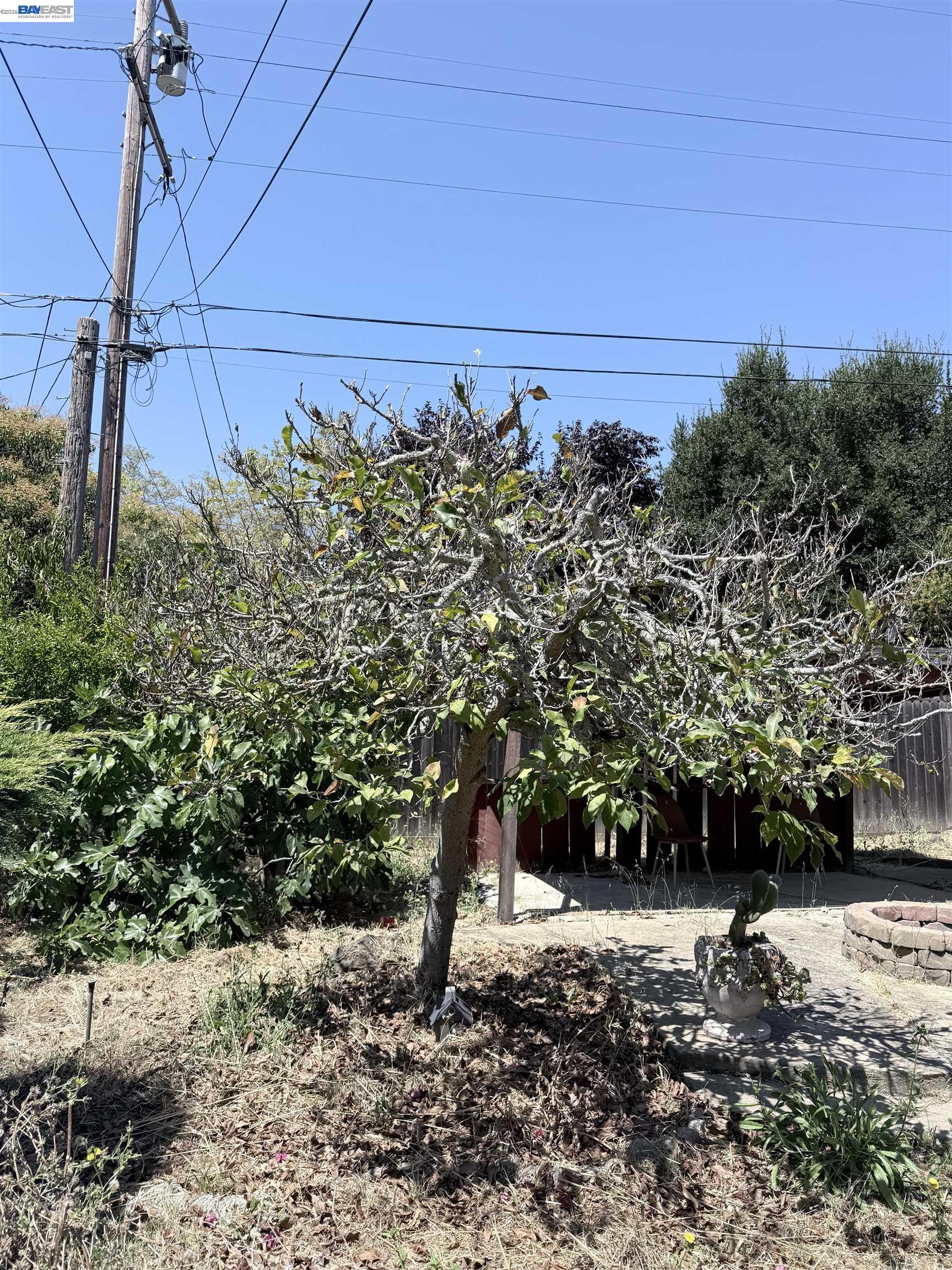 137 Viewmont Avenue, Vallejo CA 94590 — photo 57