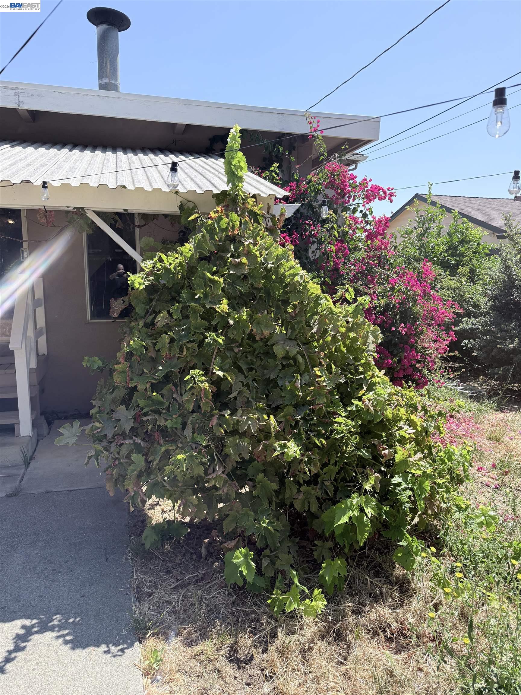 137 Viewmont Avenue, Vallejo CA 94590 — photo 60