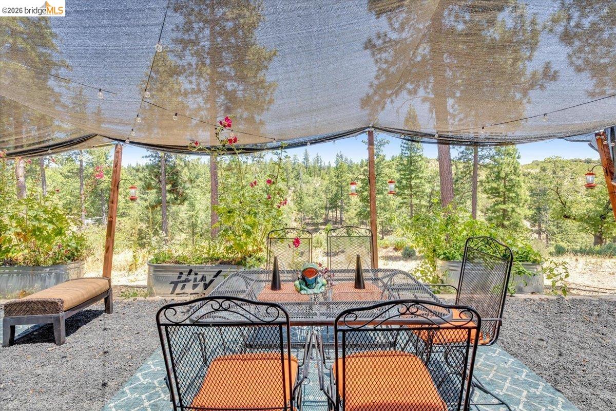 9935 Jackass creek Rd, Groveland CA 95321 — photo 24