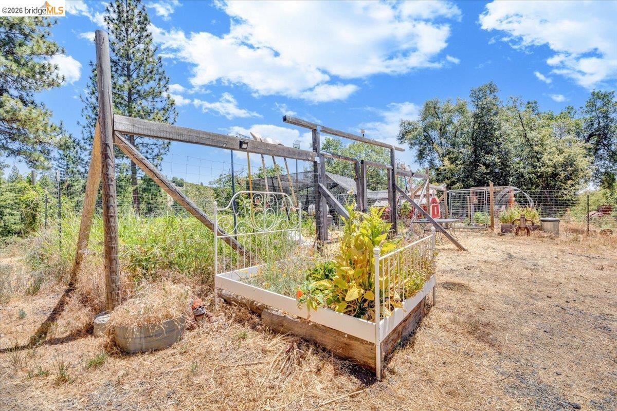 9935 Jackass creek Rd, Groveland CA 95321 — photo 37