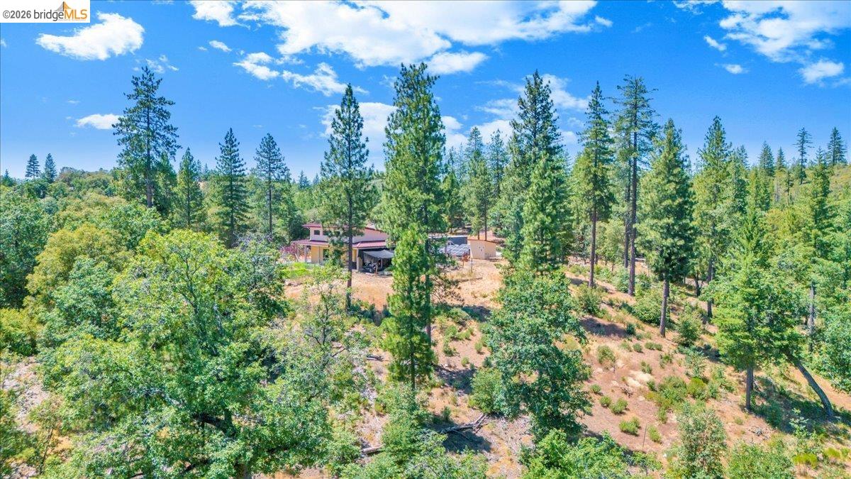 9935 Jackass creek Rd, Groveland CA 95321 — photo 41