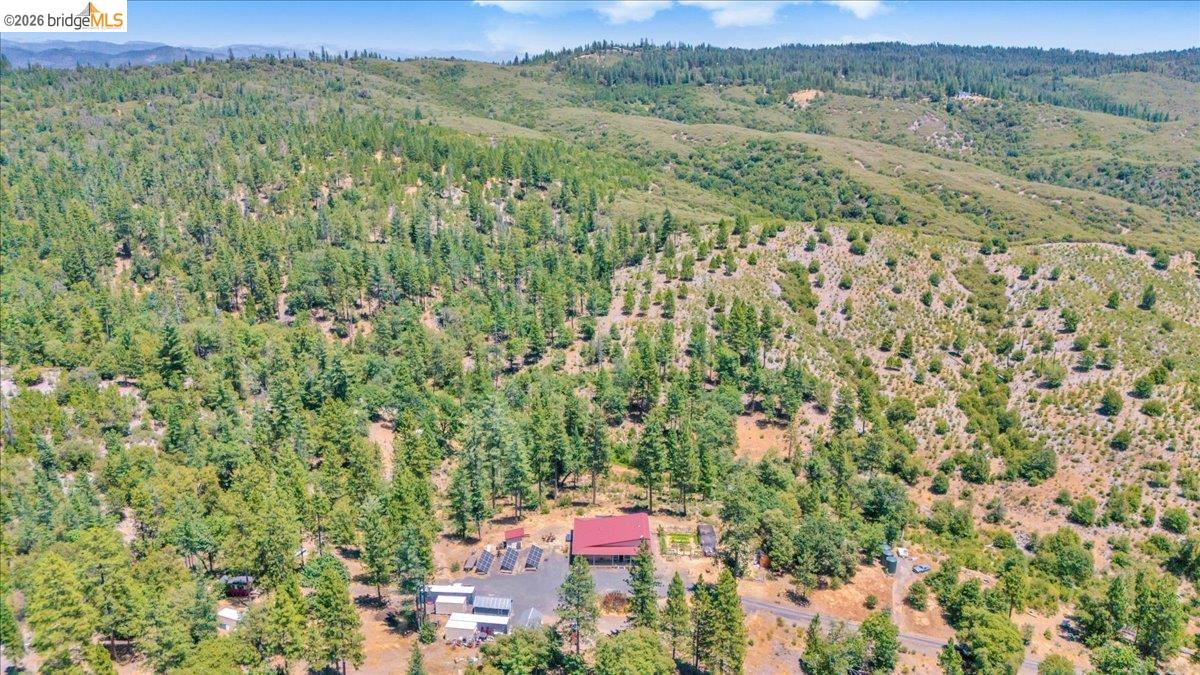 9935 Jackass creek Rd, Groveland CA 95321 — photo 43