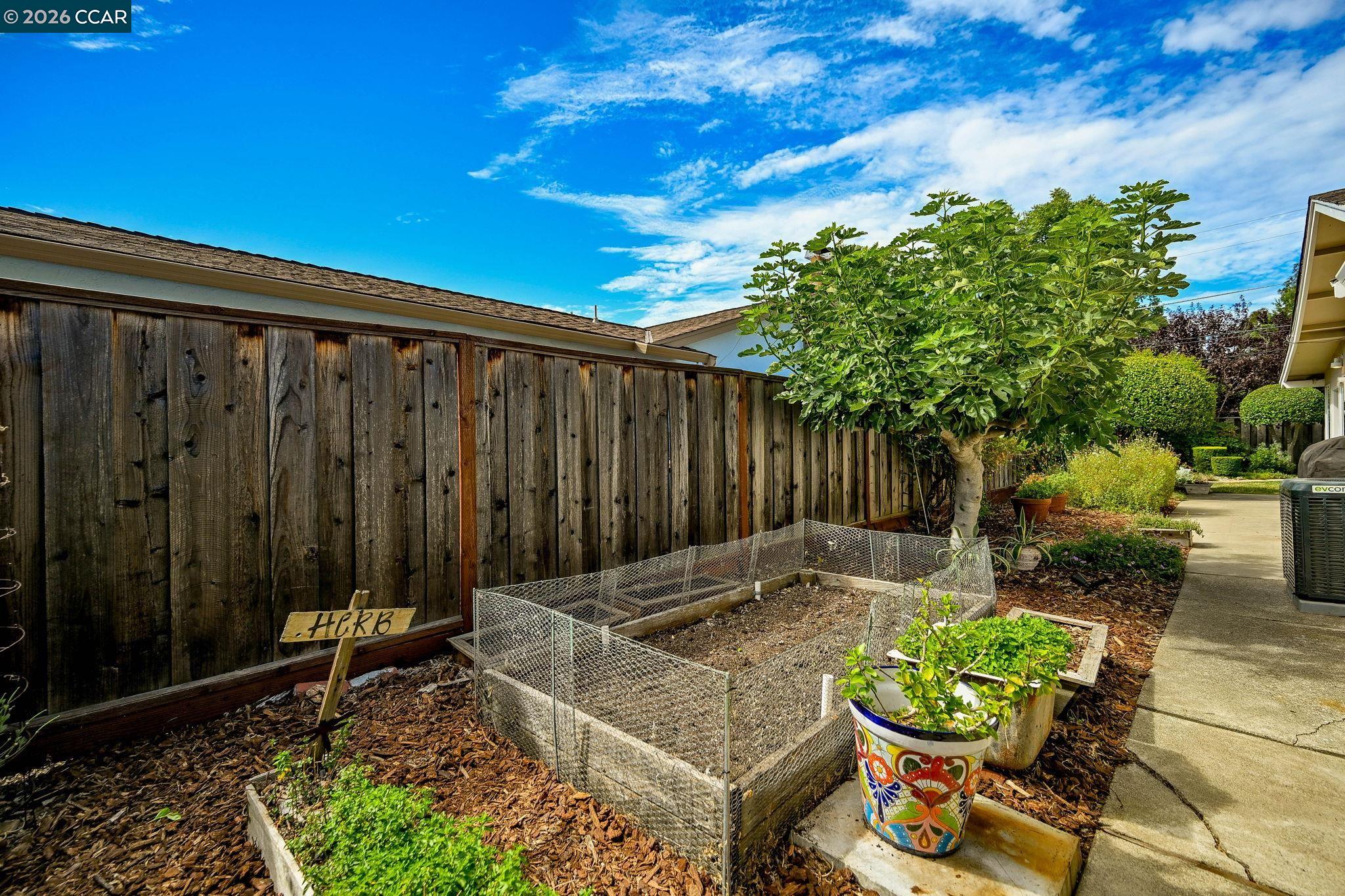 4268 Orangewood Ct, Concord CA 94521 — photo 34