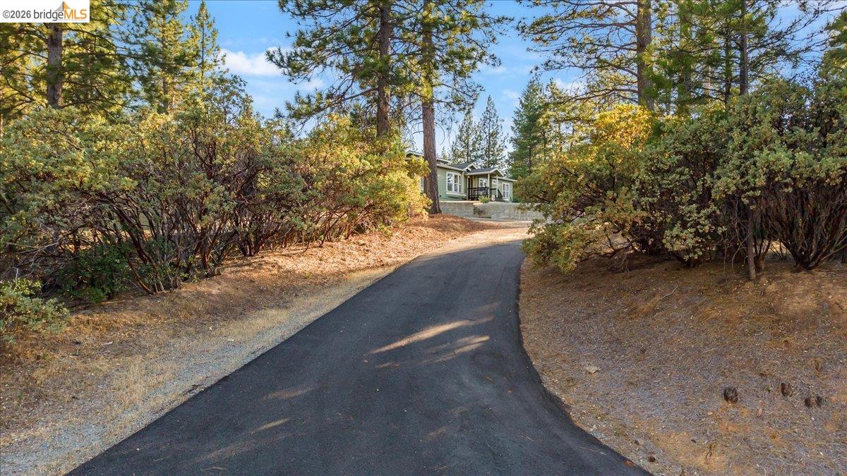 Morgan Dr — photo 4