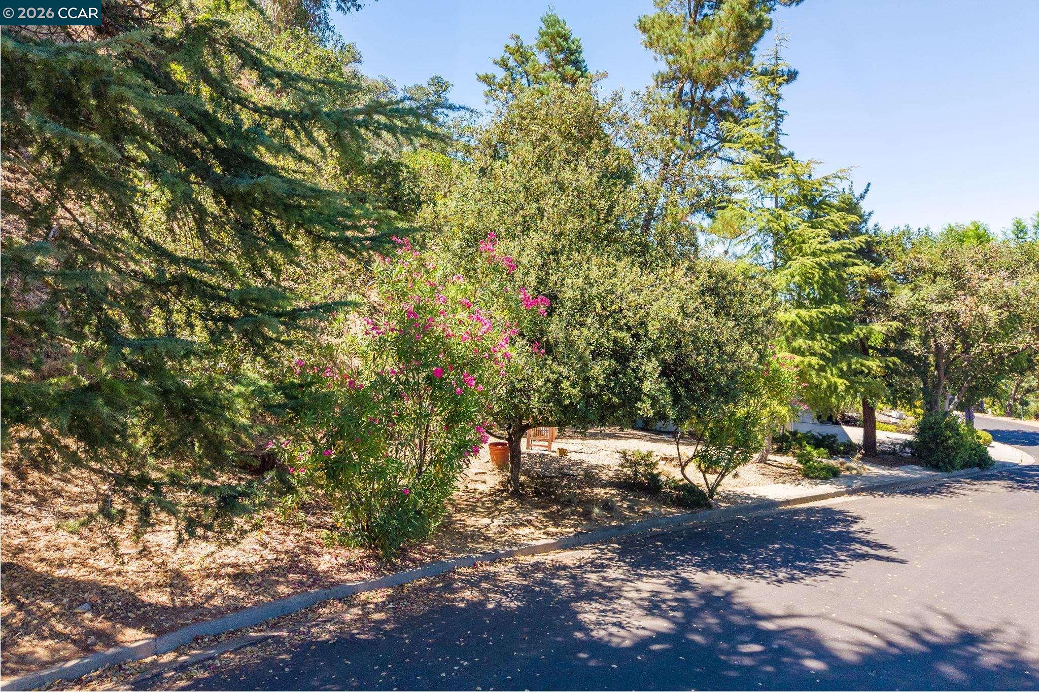 4050 Saint Marys St, Martinez CA 94553 — photo 31