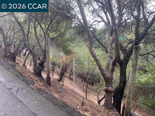 Mountain View Ave, Oakland CA 94605 — photo 12