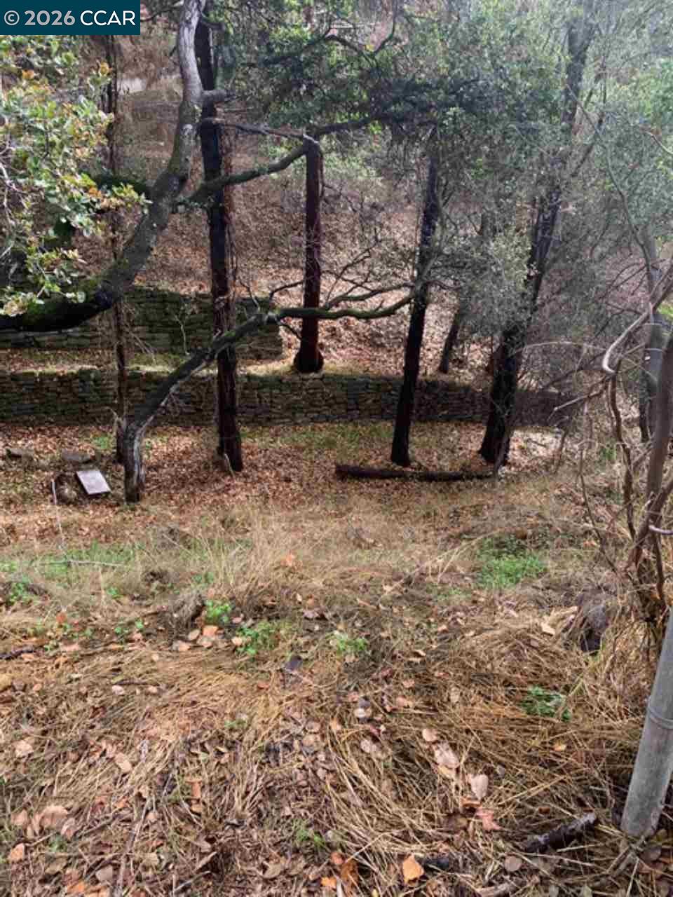 Mountain View Ave, Oakland CA 94605 — photo 8