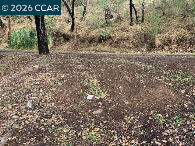 Mountain View Ave, Oakland CA 94605