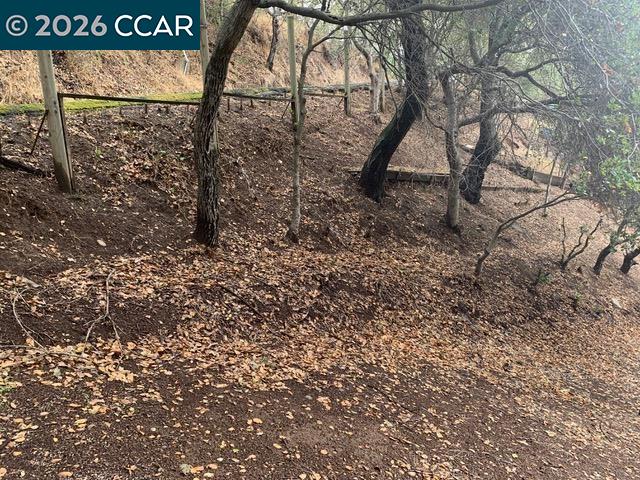 Mountain View Ave, Oakland CA 94605 — photo 2