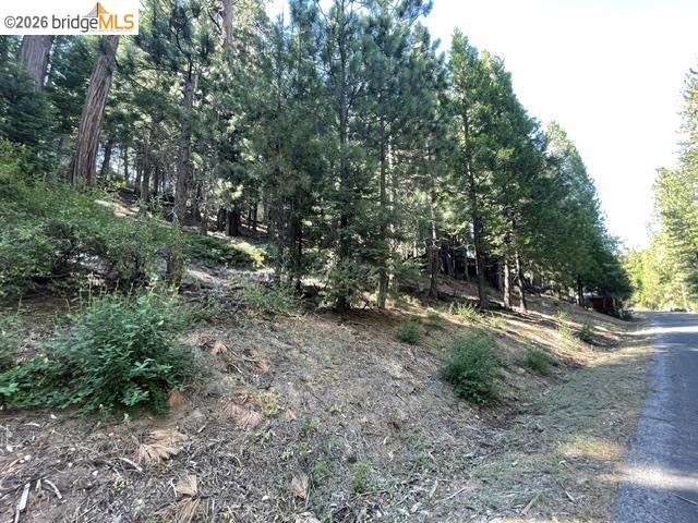 Parcel 34 Sno Bowl Rd, Long Barn CA 95346 — photo 12