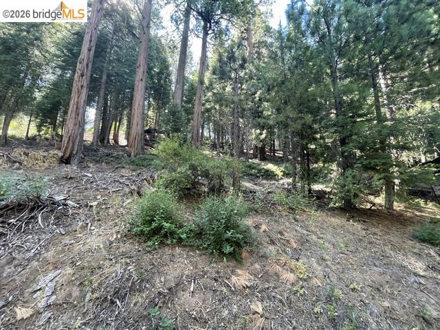 Parcel 34 Sno Bowl Rd, Long Barn CA 95346 — photo 13
