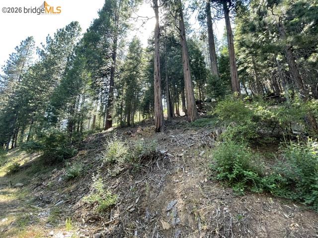 Parcel 34 Sno Bowl Rd, Long Barn CA 95346 — photo 6