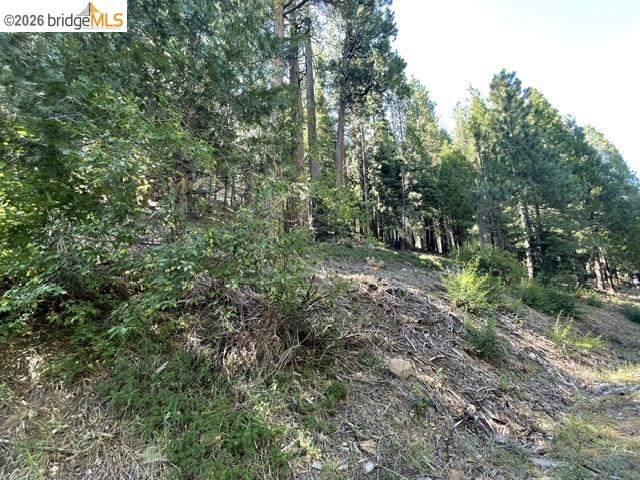 Parcel 34 Sno Bowl Rd, Long Barn CA 95346 — photo 8