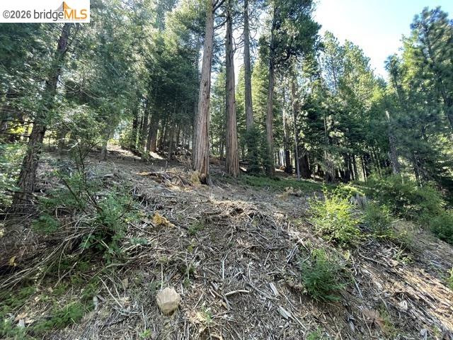 Parcel 34 Sno Bowl Rd, Long Barn CA 95346 — photo 9