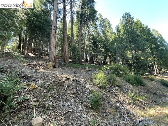 Parcel 34 Sno Bowl Rd, Long Barn CA 95346 — photo 10